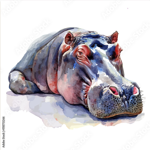 A watercolor painting of a Hippopotamus, isolated on a white background. Hippopotamus vector.