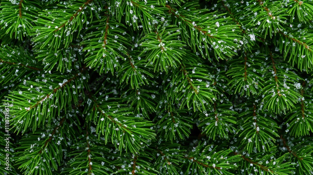 Lush Green Pine Needles Covered in Delicate Snowflakes Lush Green Pine Needles Covered in Delicate Snowflakes