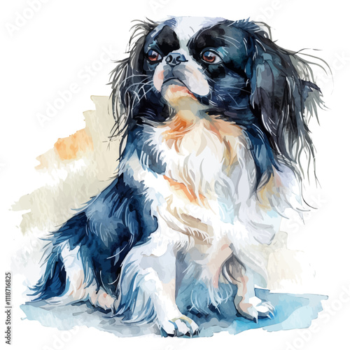 A watercolor clipart of a Japanese Chin, isolated on a white background. Japanese Chin vector.