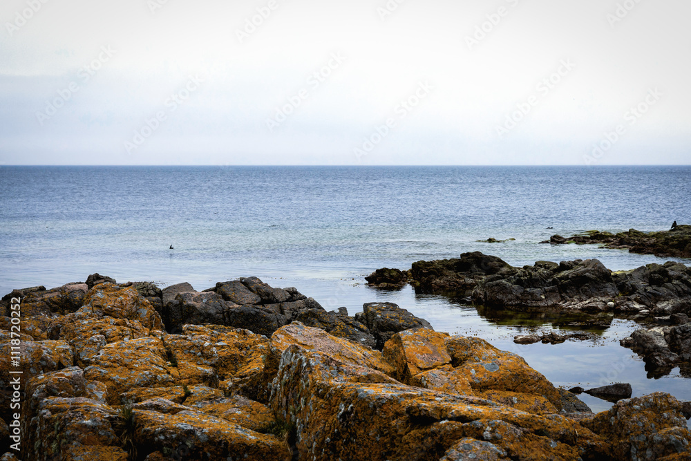 Coast line of sea. Stones covered with yellow and green moss and cloudy sky. Coast line of sea. Stones covered with yellow and green moss and cloudy sky.