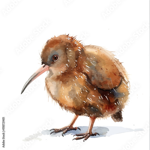 A watercolor painting of a Kiwi Bird, isolated on a white background. Kiwi Bird vector.