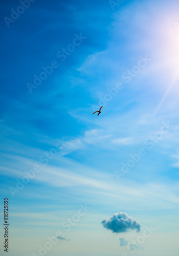 Gabbiano che vola nel cielo blu con le nuvole e il sole