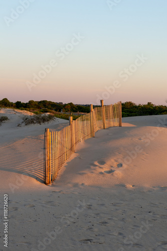 Golden Fence on Coastal Dunes