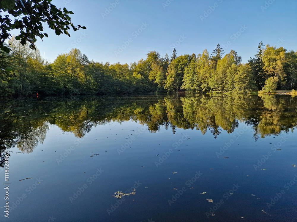 Fototapeta premium autumn trees reflected in water