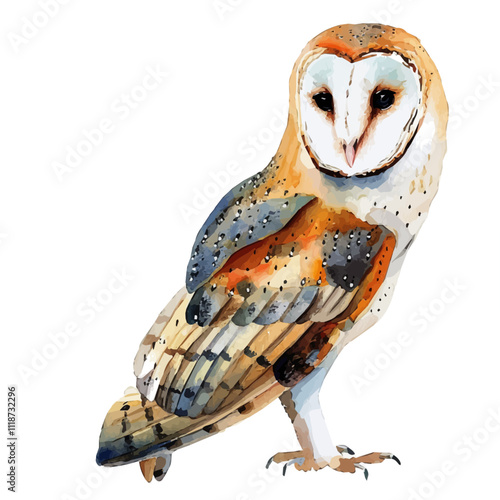 A watercolor painting of a Barn Owl, isolated on a white background. Barn Owl vector.