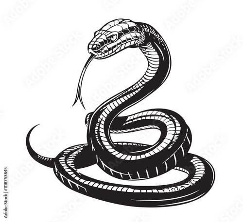 Hand drawn vintage snake illustration. Graphic sketch for posters