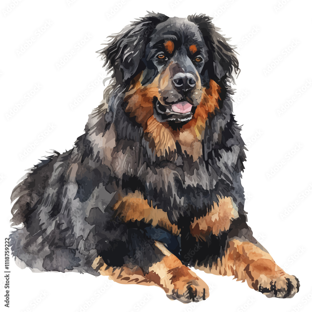 A watercolor painting of a Tibetan Mastiff, isolated on a white background. Tibetan Mastiff vector. A watercolor painting of a Tibetan Mastiff, isolated on a white background. Tibetan Mastiff vector.