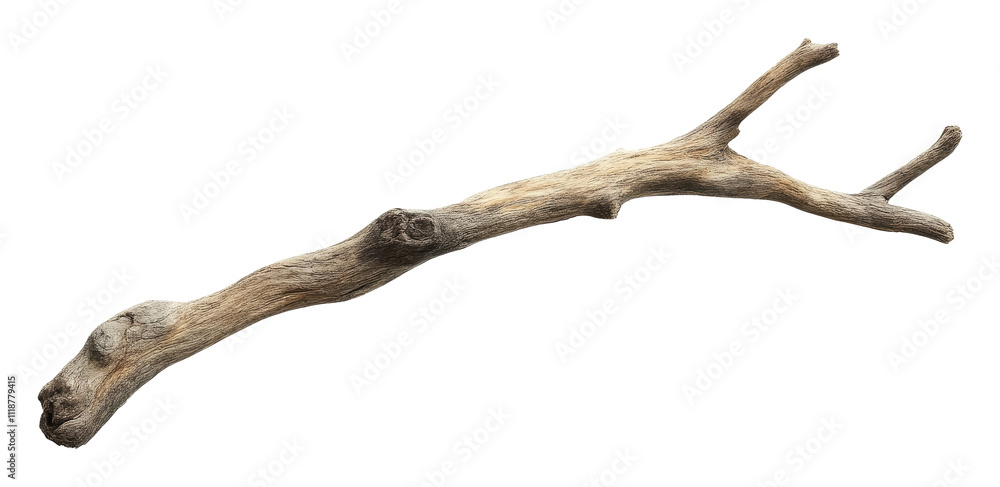 Isolated dried tree branch on transparent background Isolated dried tree branch on transparent background