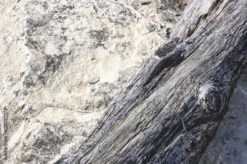 Close-Up of Weathered Wood and Rock Textures