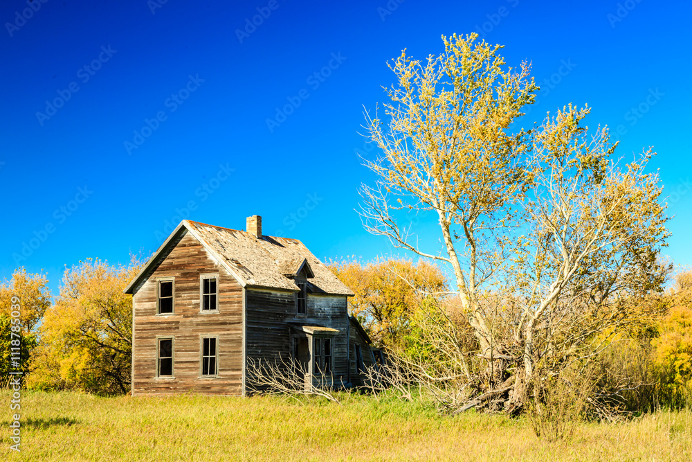 A small, old house sits in a field with a tree in the background A small, old house sits in a field with a tree in the background