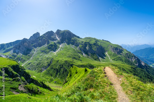 Hiking trail winding through lush green mountains in the dolomites, italy