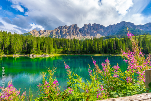 Fototapeta Naklejka Na Ścianę i Meble -  Pink flowers blooming on the shores of lake carezza with the latemar massif reflecting in the emerald water