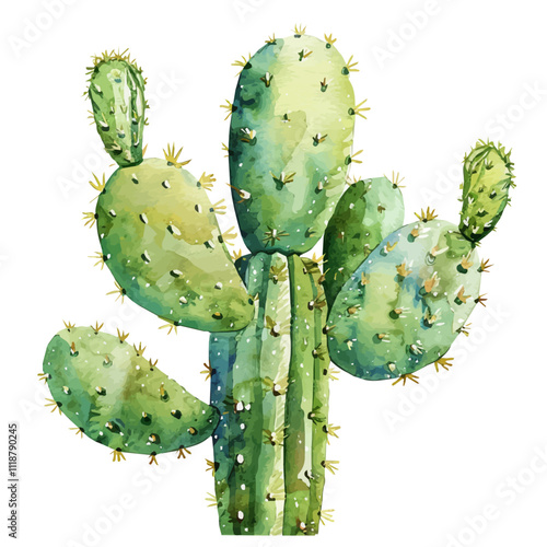 A watercolor of a Cactus, isolated on a white background. Cactus vector.



 photo