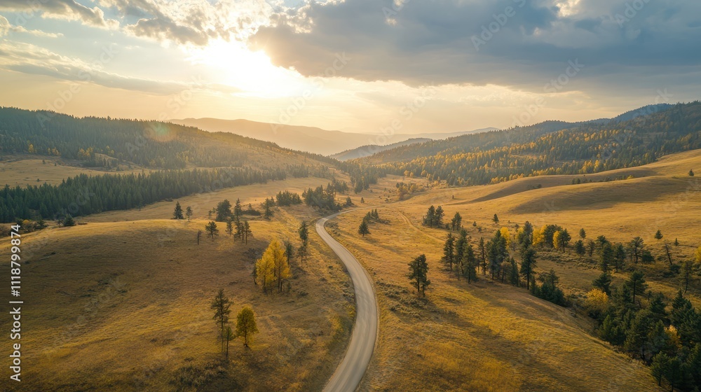 Top drone view of road in woods. Beautiful landscape with roadway in hills, pine trees, meadows, golden sunlight in fall. Travel Top drone view of road in woods. Beautiful landscape with roadway in hills, pine trees, meadows, golden sunlight in fall. Travel