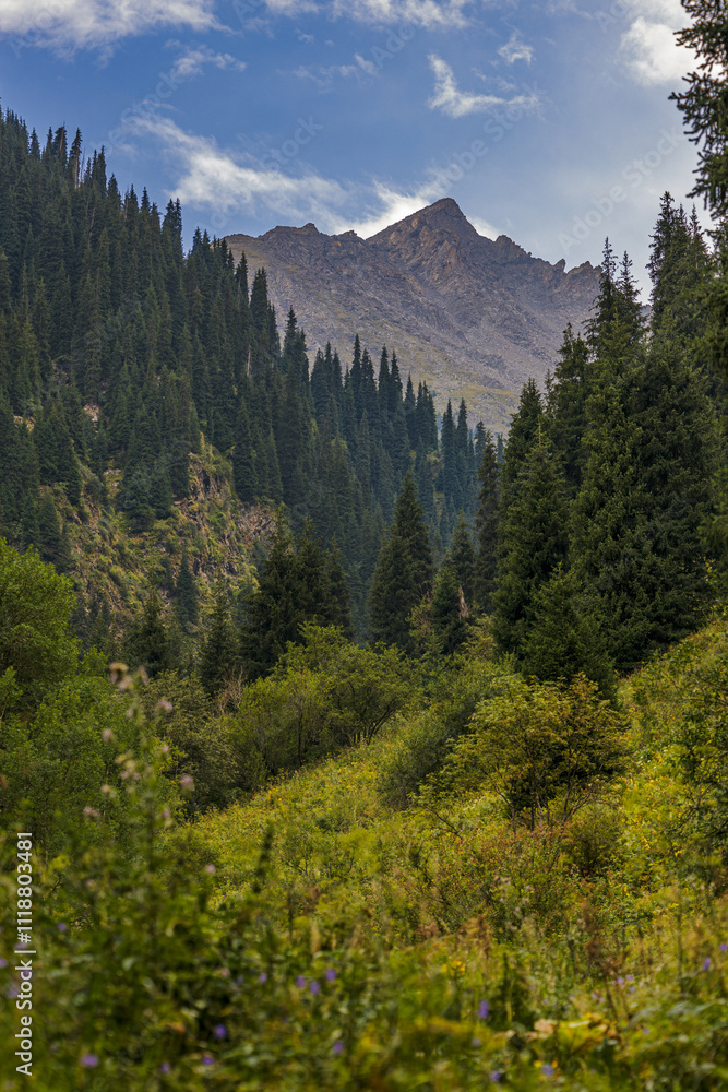 mountain landscape with trees and clouds mountain landscape with trees and clouds