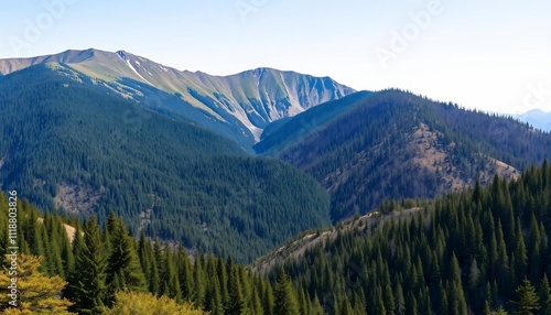 Majestic Mountain Range Evergreen Forest Scenic Landscape Photography