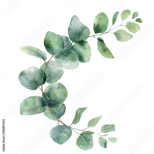 A watercolor painting of a Eucalyptus Branch, isolated on a white background. Eucalyptus Branch vector.