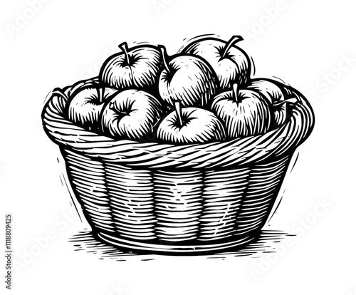 wooden basket apples engraving black and white outline