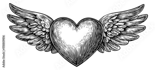 love wing angel engraving black and white outline