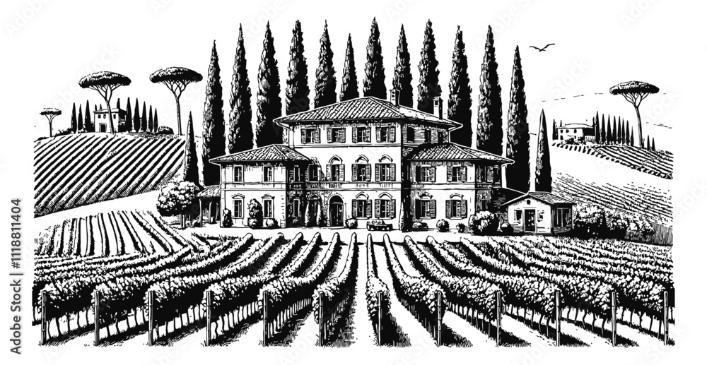Fototapeta premium Mediterranean villa surrounded by lush vineyards and tall cypress trees engraving black and white outline