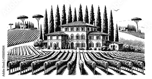Mediterranean villa surrounded by lush vineyards and tall cypress trees engraving black and white outline
