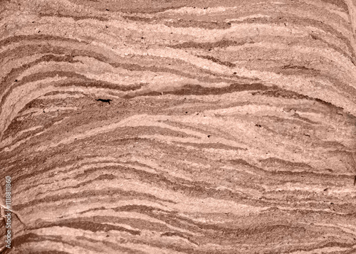 The fashionable color of the year 2025 is Mocha Mousse. The texture of a hornet's nest in close-up.