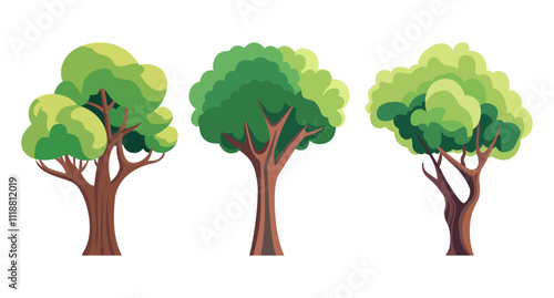 Three green leafy trees have brown trunks on white background.