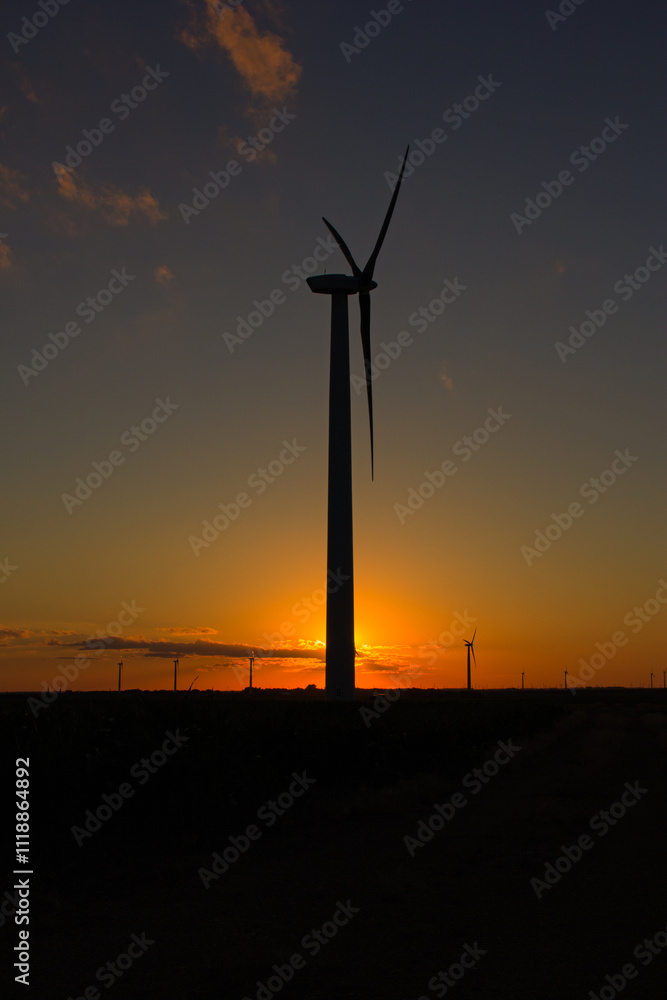 Fototapeta premium wind turbines at sunset