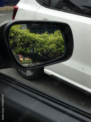 Bush in mirror photo