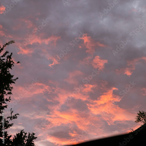Pink sky