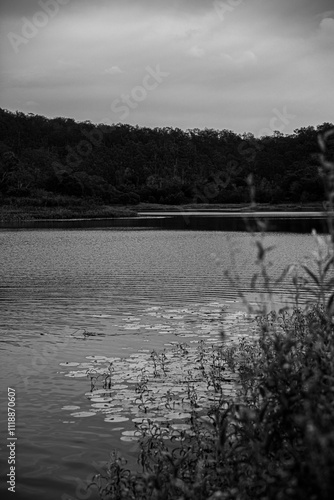 Black and white lake