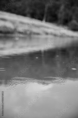 Raindrops on water