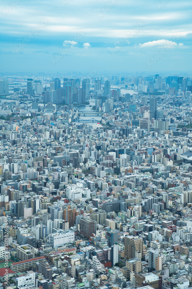 Fototapeta premium 東京スカイツリーから東京の景色一望 View from Tokyo Skytree