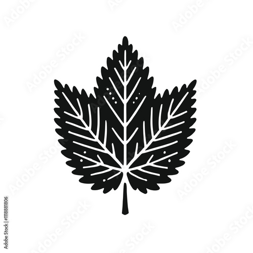 Elm Leaf Silhouette