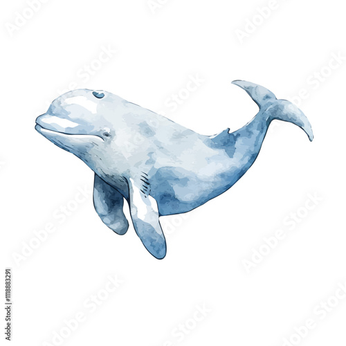 A watercolor painting of a beluga whale, isolated on a white background. Beluga whale vector.