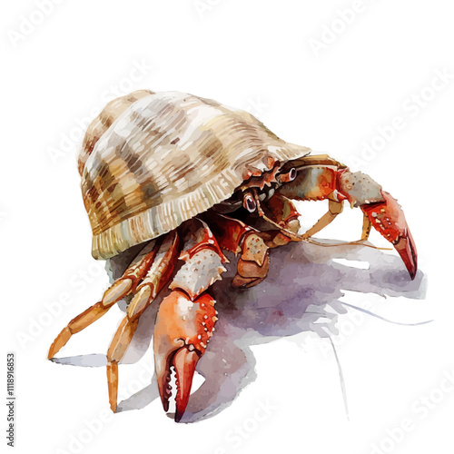 A watercolor painting of a hermit crab, isolated on a white background. Hermit crab vector. photo