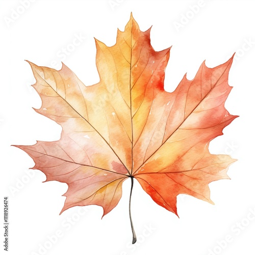 Autumn Leaf