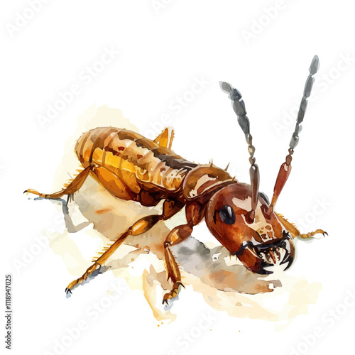 A watercolor of a termite, isolated on a white background. Termite vector.