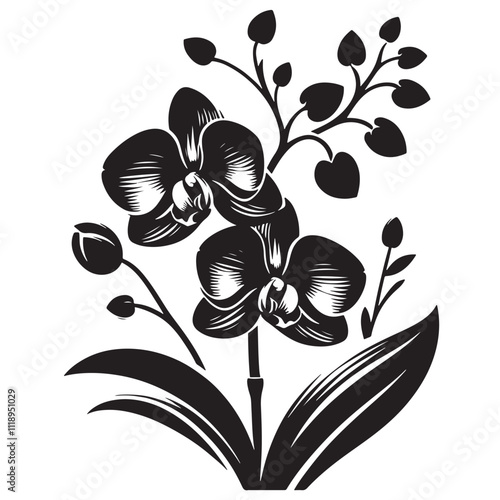 Silhouette Orchids Flowers With Leaves, orchid silhouette ,orchid sv g,orchid p ng,orchid illustrate ion,orchid, silhouette flower,vector 4