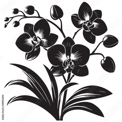 Silhouette Orchids Flowers With Leaves, orchid silhouette ,orchid sv g,orchid p ng,orchid illustrate ion,orchid, silhouette flower,vector 18