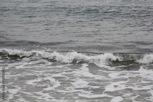 Image of seagulls flying and searching for food on Imrang Beach 