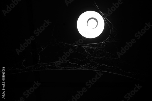 Black and white photo. The ceiling lamp shines brightly, with the cobwebs on the sides. There is a frosted T-bar background that is so dark that it is almost imperceptible. photo