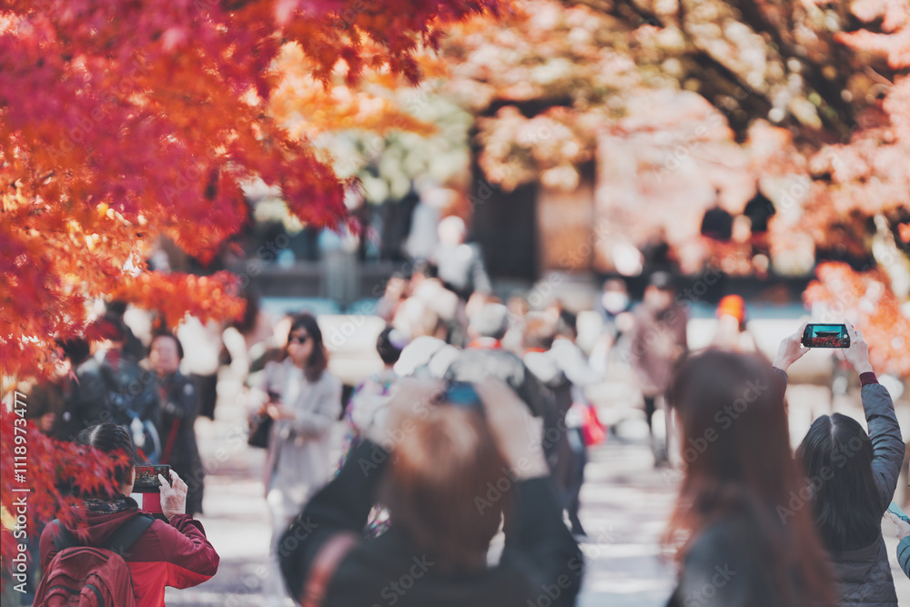 南禅寺の紅葉を見に来た旅行者 南禅寺の紅葉を見に来た旅行者