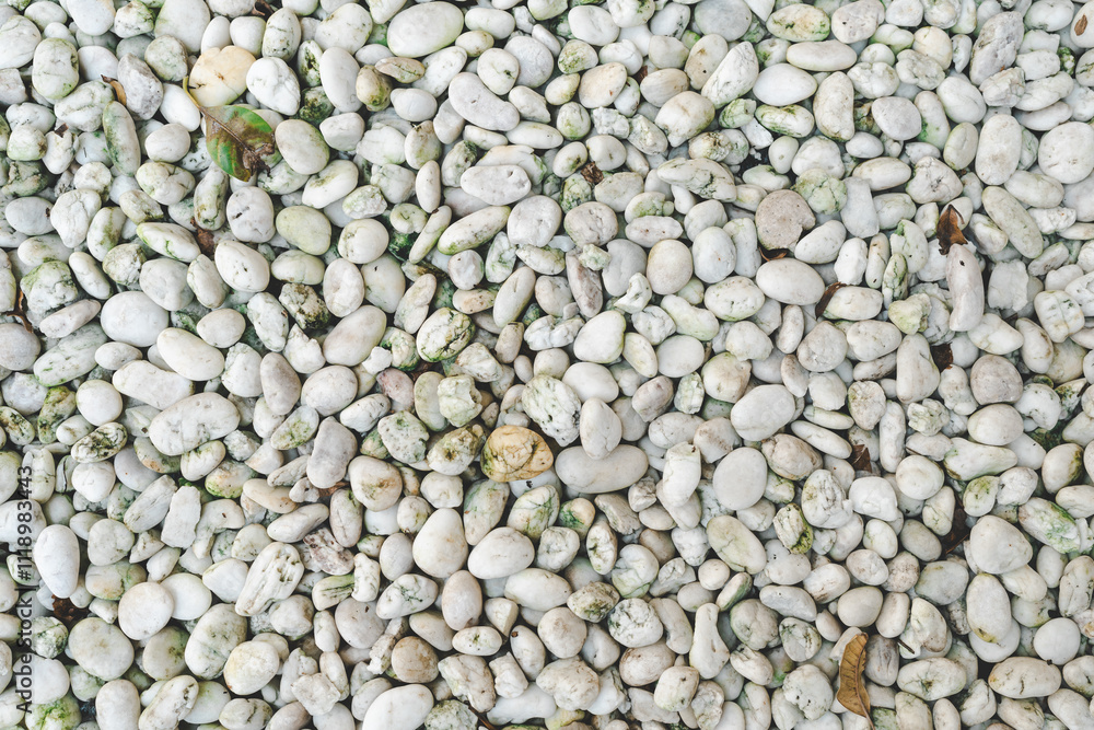 Pebble stone texture on the ground. The pebbles closely stone texture features. Pebble stone texture on the ground. The pebbles closely stone texture features.