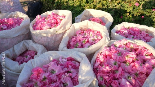 Bild auf Leinwand Rose petals in bags
