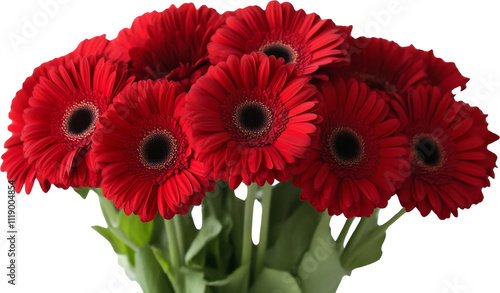 Red gerbera daisies bouquet, vibrant floral arrangement. nature and beauty concept