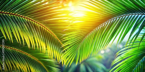 Close-up of palm tree leaves in tropical setting, palm tree, leaves, green, nature, tropical, exotic, foliage, vibrant, lush