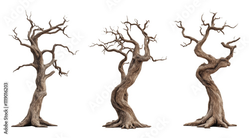 Ancient twisted trees with bare branches on transparent background, nature and art concept