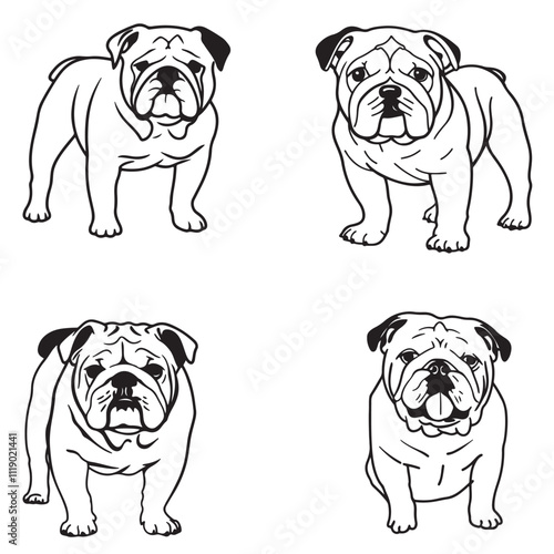Bulldog silhouette vector illustration line art