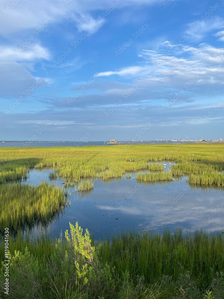 Fototapeta premium landscape with lake